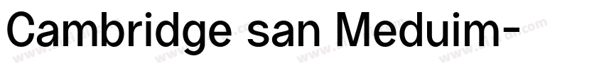 Cambridge san Meduim字体转换